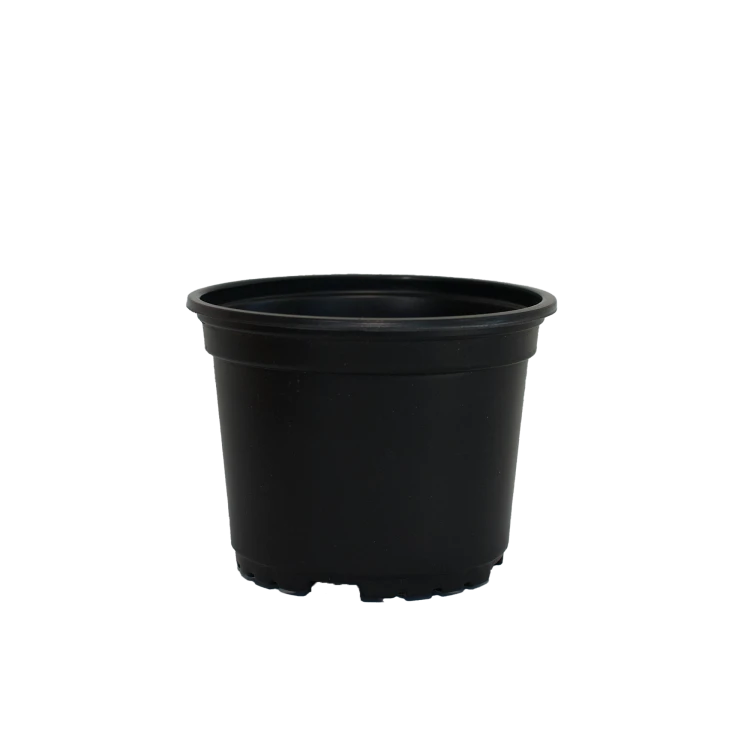 9m c.png