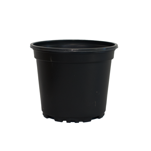 10,5_9m c.png