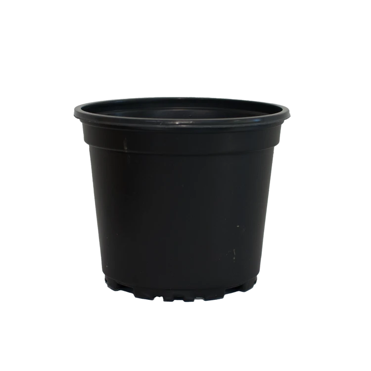 10,5_9m c.png