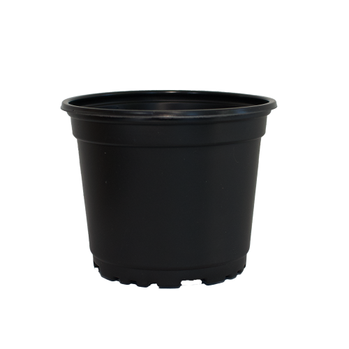 11m c.png