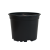 12m c.png