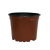 12m t.png