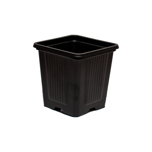 kw7x7x7g.png