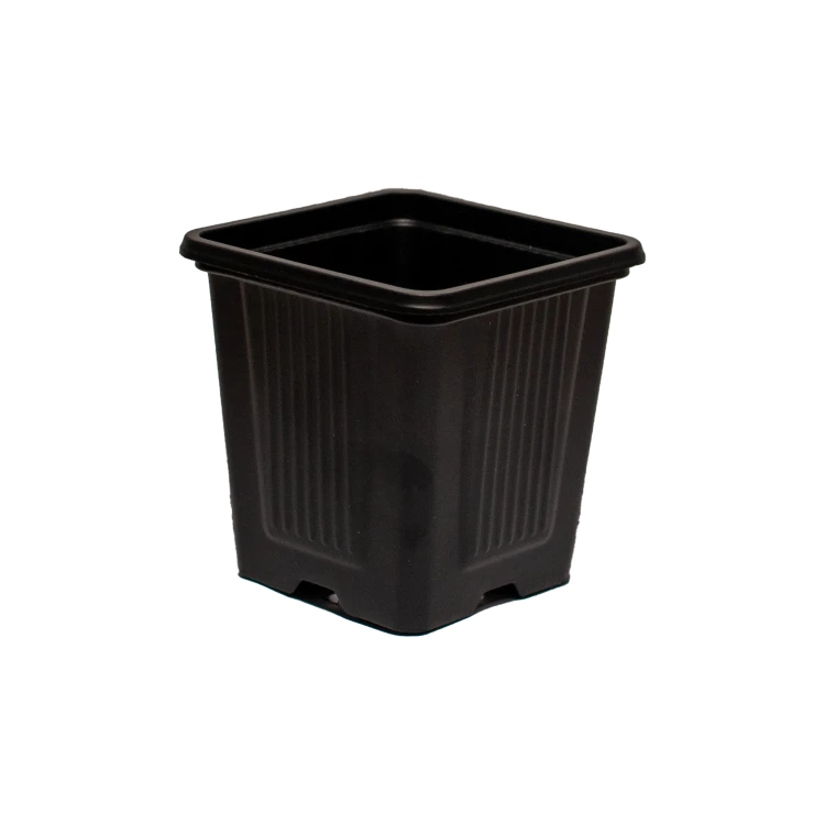 kw7x7x7g.png