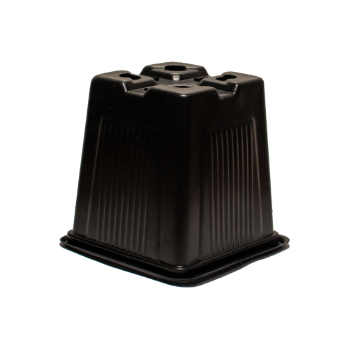 kw8x8x8d.png