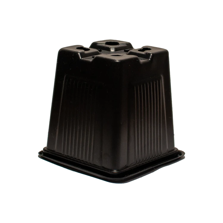 kw8x8x8d.png