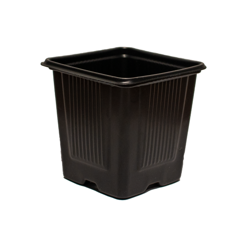 kw8x8x8g.png