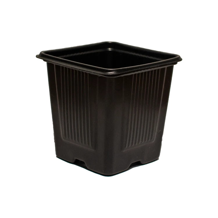 kw8x8x8g.png