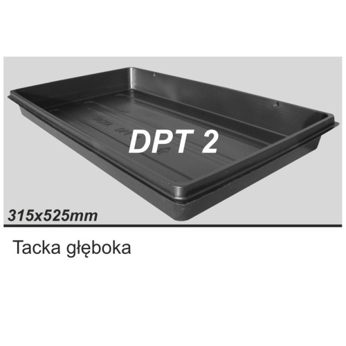 dptt2.jpg