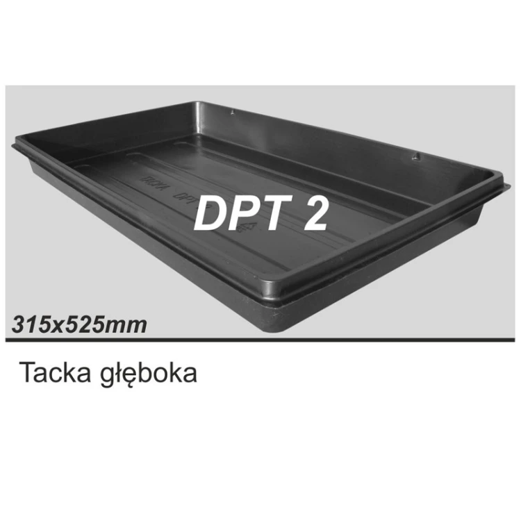 dptt2.jpg