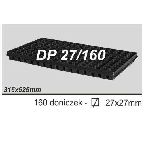 dp27x160.jpg