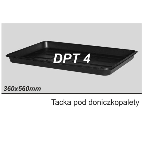 dpt4.jpg