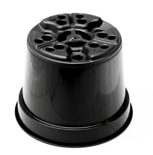 9BTC