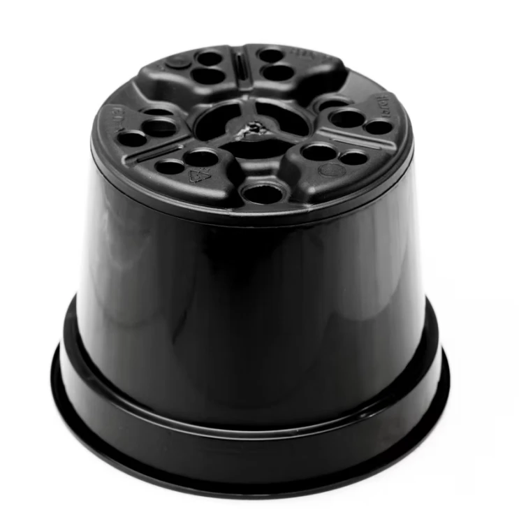 9BTC